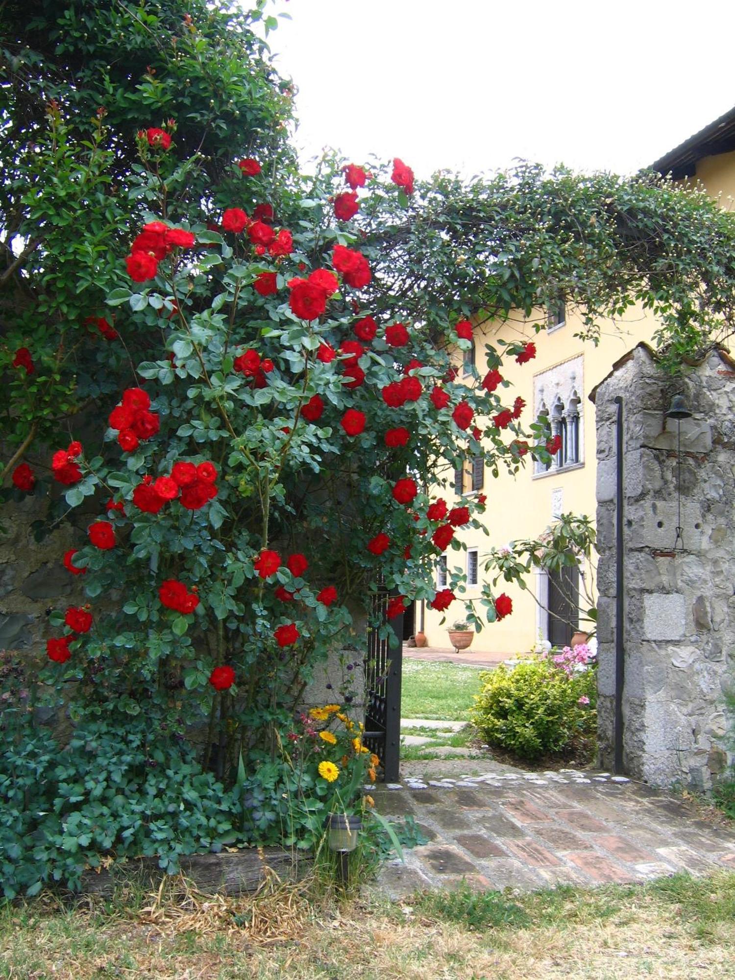 Agriturismo Domus Magna Povoletto Dış mekan fotoğraf