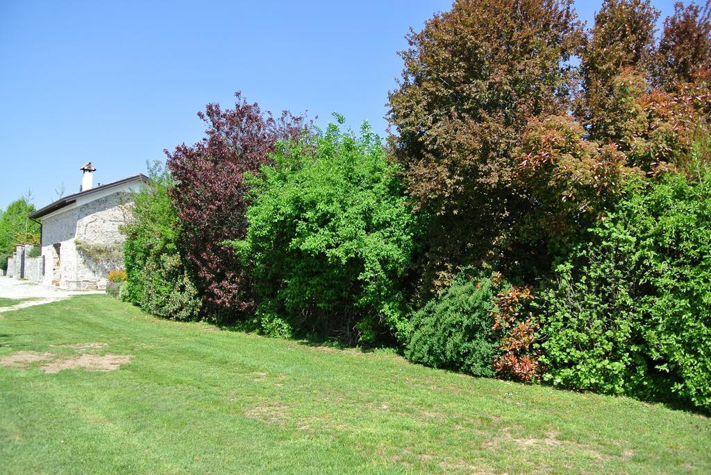 Agriturismo Domus Magna Povoletto Dış mekan fotoğraf
