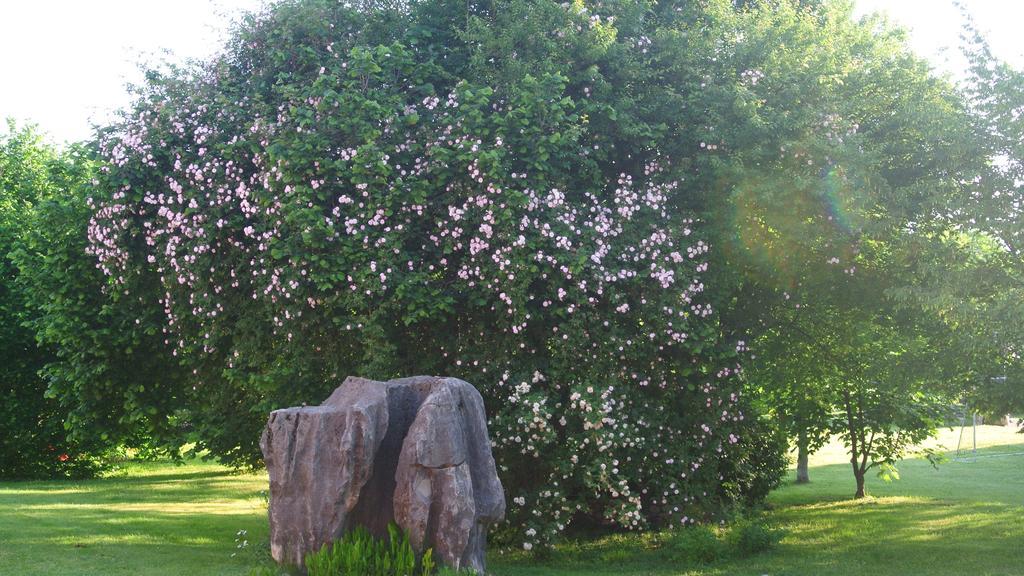 Agriturismo Domus Magna Povoletto Dış mekan fotoğraf